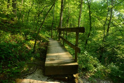 DSC_2858 (Large).JPG